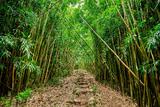The Journey