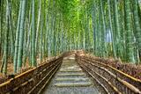 The Way Within