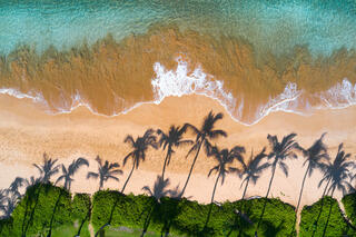 Top 5 Maui Beaches