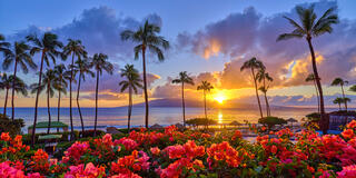 What Makes Hawaii Sunset Pictures So Captivating?