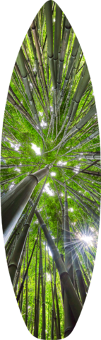 an abstract vertical image inside a bamboo forest on the pipiwai trail near Hana, Hawaii on the island of Maui.  Surfboard art by Andrew Shoemaker