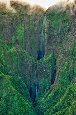 aerial view from a Helicopter of Honokohau Falls which is the tallest waterfall on the island of Maui