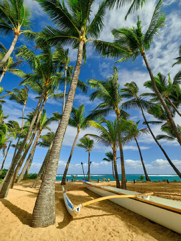 Swaying palm trees and outrigger canoes rest on golden sand, with a turquoise ocean and blue sky in the background, capturing a tropical paradise.