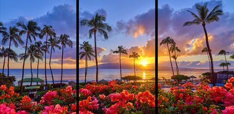 A very beautiful sunset at ka'anapali beach with coconut palms and bright red flowers in the flowers in the foregound with the island of Lanai in the background