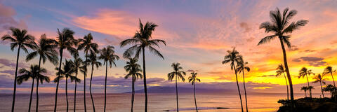 Kaanapali Beach sunset on Maui with palm trees and colorful tropical sky.