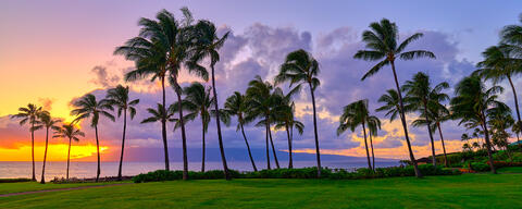 a panoramic scene at Kapalua Bay on the island of Maui at sunset with coconut palms and the Hawaiian island of Molokai in the background. 