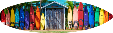 a rainbow surfboard fence in Paia on the island of Maui, Hawaii printed on a real surfboard.  Surfing Art by Maui fine art photographer Andrew Shoemaker