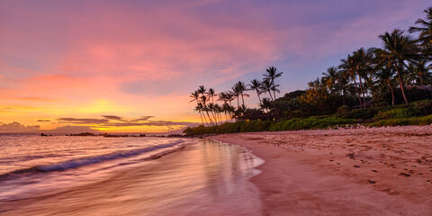 Palauea Palms is a fine art photograph of Palauea Beach at sunset featuring brilliant pinks, purples, and blue colors mixed with an incoming wave on the beach.
