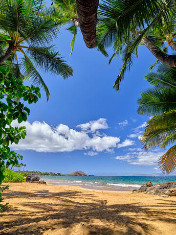looking out of a palm tree cave in Makena/Wailea out to the beach and ocean.  Hawaii photography by Andrew Shoemaker