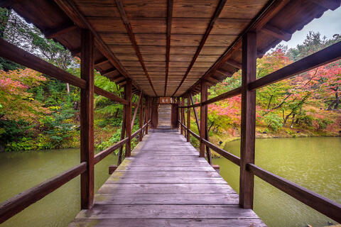 a scene looking down a bridge water crossing at Koda-ji temple in Kyoto, Japan