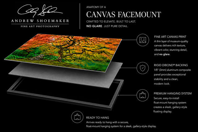 Canvas Facemount | Ready to Hang