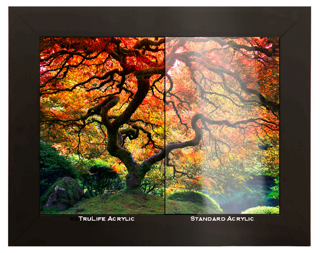 Lumachrome TruLife Acrylic Facemounts | Ultimate Fine Art Print