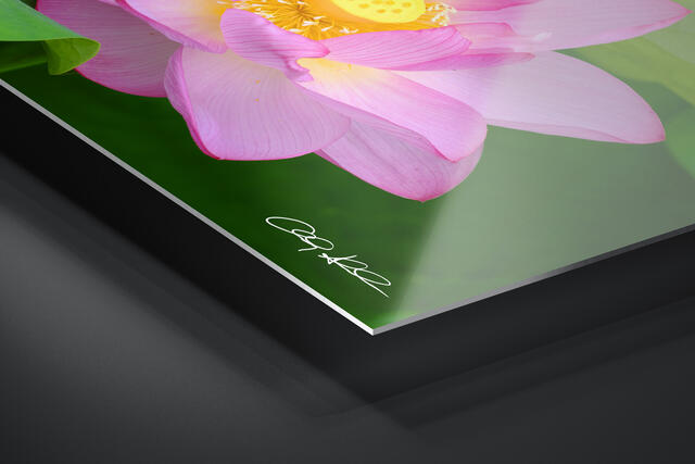 print preview