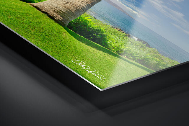 print preview
