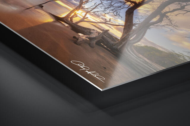 print preview