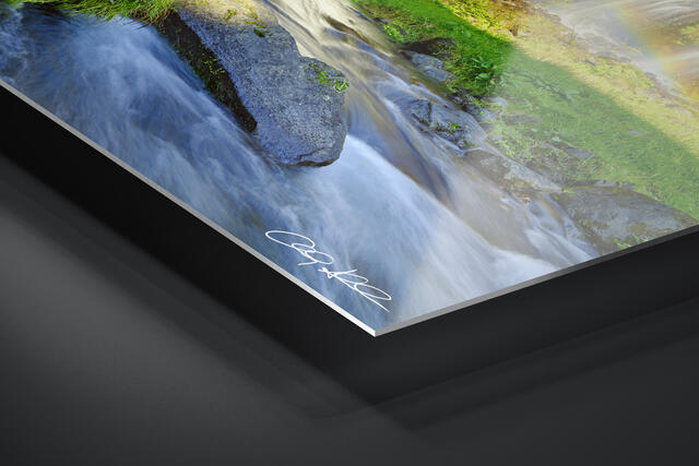  print preview