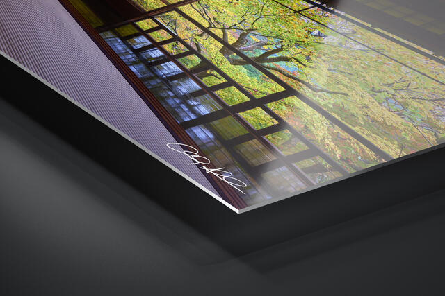 print preview