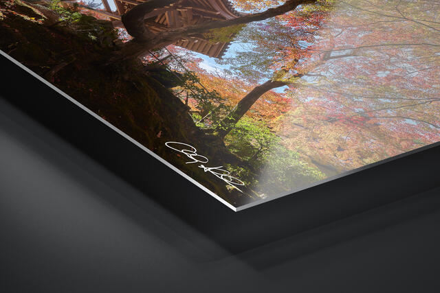 print preview