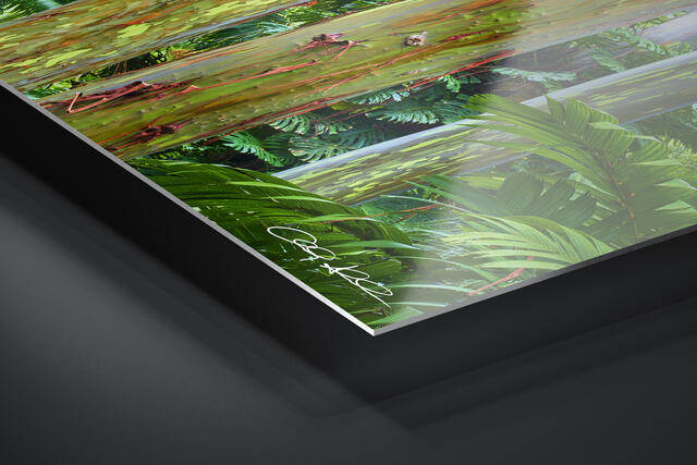 print preview