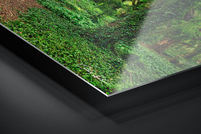 print preview
