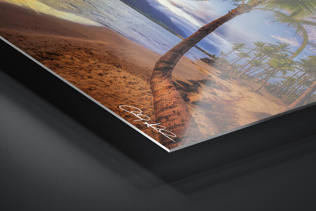 print preview