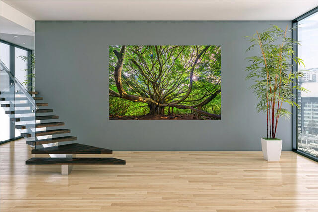 Office Art Ideas: Where to Hang Office Artwork for Maximum Impact