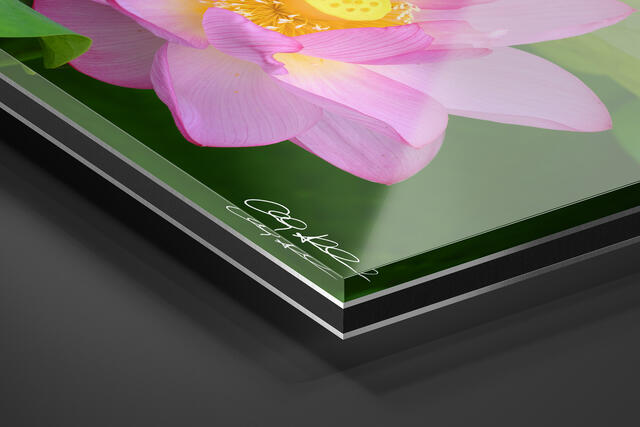 print preview