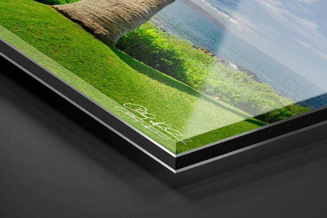 print preview