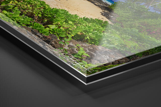 print preview