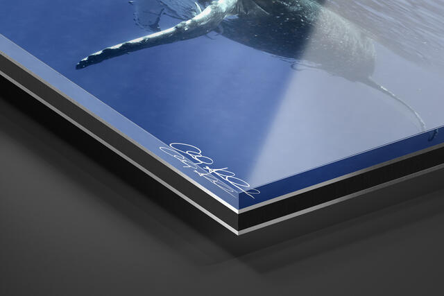 print preview