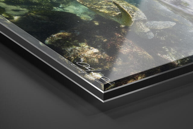print preview