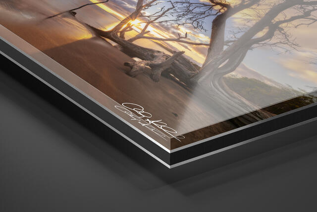 print preview