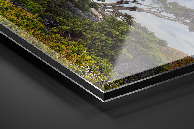 print preview