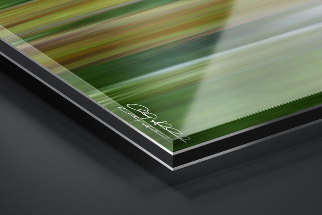 print preview