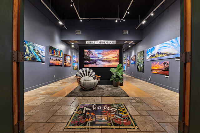 The Top Five Photography & Maui Art Galleries