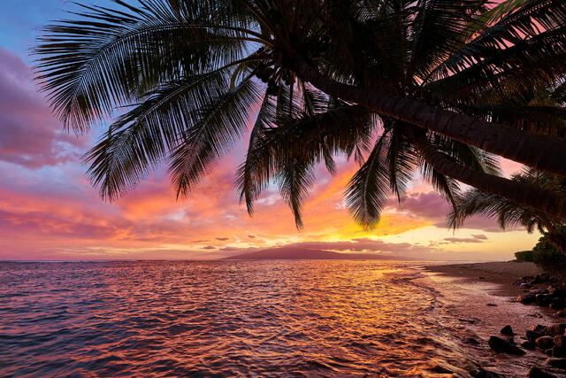 Afterglow — a tranquil Maui sunset photograph with golden light illuminating the ocean and palm trees, fine art seascape by Andrew Shoemaker