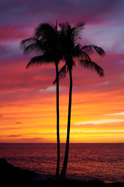 a fiery Hawaiian sunset captured with two twin palm tree silhouettes on the shores of Wailea, Maui