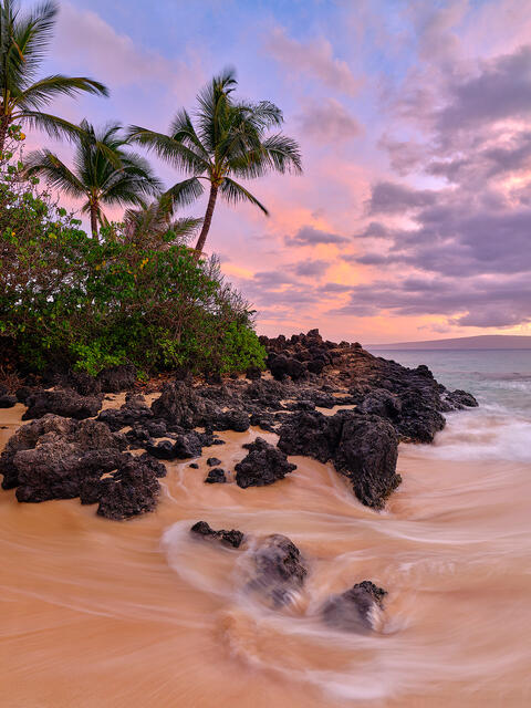 A beautiful vertical photo with silky water, coconut palm trees and a colorful pastel sunset at Secret Beach in Makena.  Photographed by Andrew Shoemaker