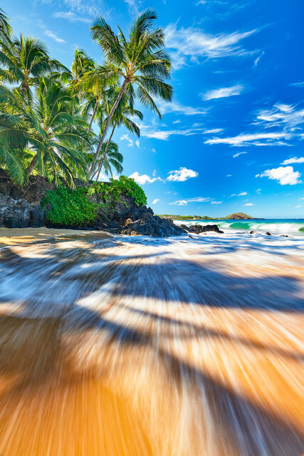 incoming waves at a small secret cove make a beautiful morning scene with coconut palms sticking out from the land in Makena, Maui