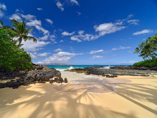 daytime view of Secret Beach on the island of Maui with the shadows from the palm trees in the foreground as a wave comes in