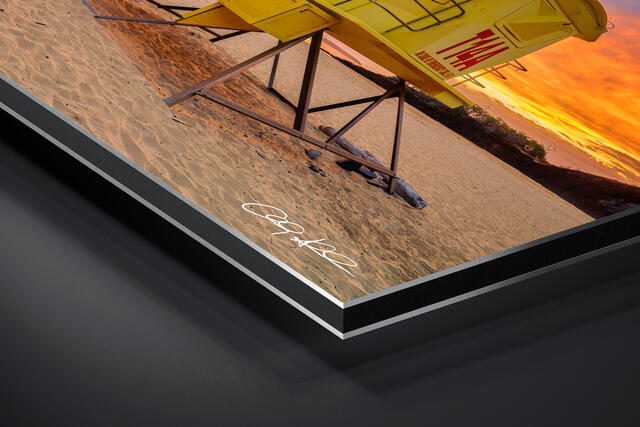  print preview