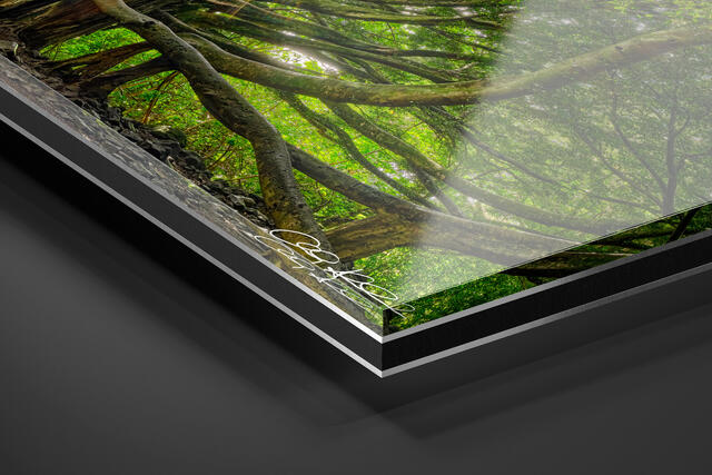  print preview
