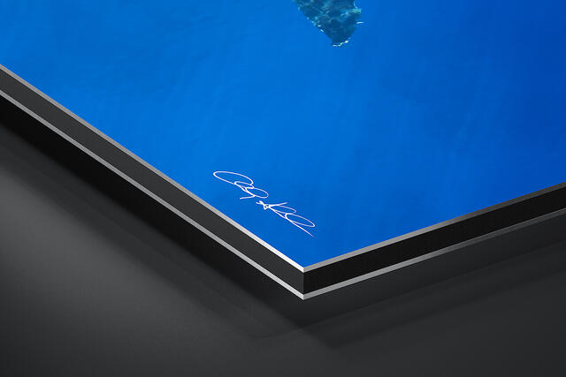 print preview