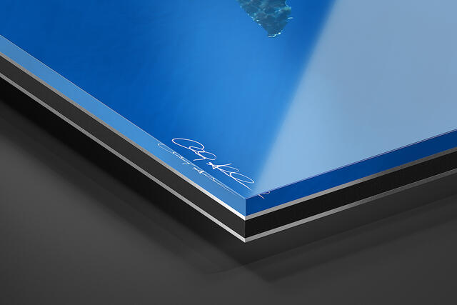 print preview