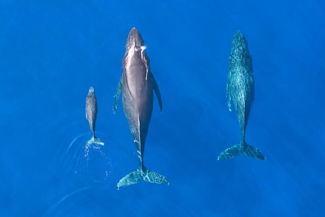 New Releases | Fine Art Photography