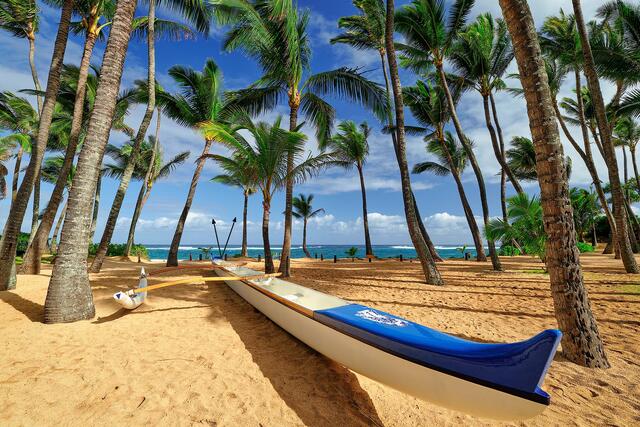 Fine art photograph titled ‘Gratitude’ of an outrigger canoe resting on the sandy shore of Kuau Cove near Mama’s Fish House on Maui, framed by palm trees