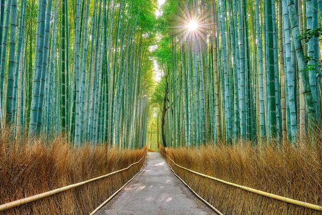Fine Art Photography of Japan | Limited Edition Prints