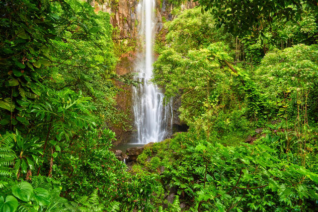the beautiful wailua falls near Hana, Hawaii on the island of Maui surrounded by lush green foliage .