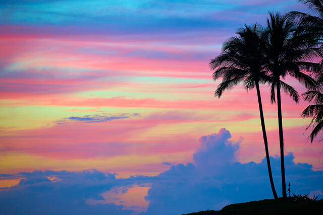 Vibrant tropical sunset with cotton candy-colored skies over Maui, Hawaii, featuring silhouetted palm trees, dreamy pastel hues of pink, blue, and purple