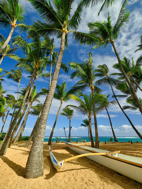 Swaying palm trees and outrigger canoes rest on golden sand, with a turquoise ocean and blue sky in the background, capturing a tropical paradise.